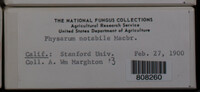 Image Associated With the Occurence